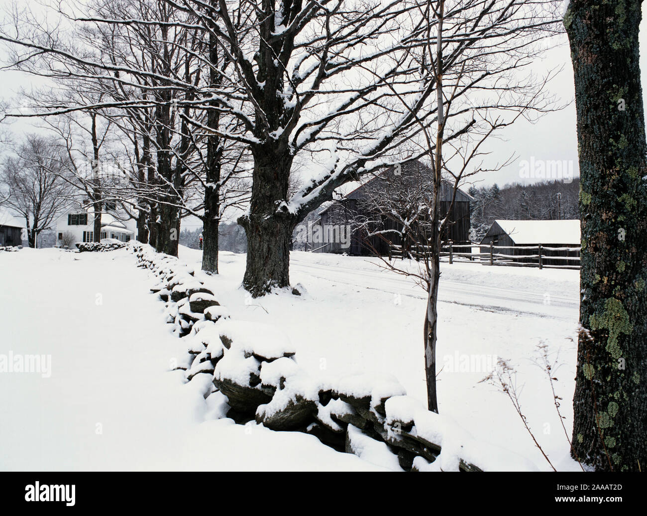 Marlboro, Vermont in winter Stock Photo