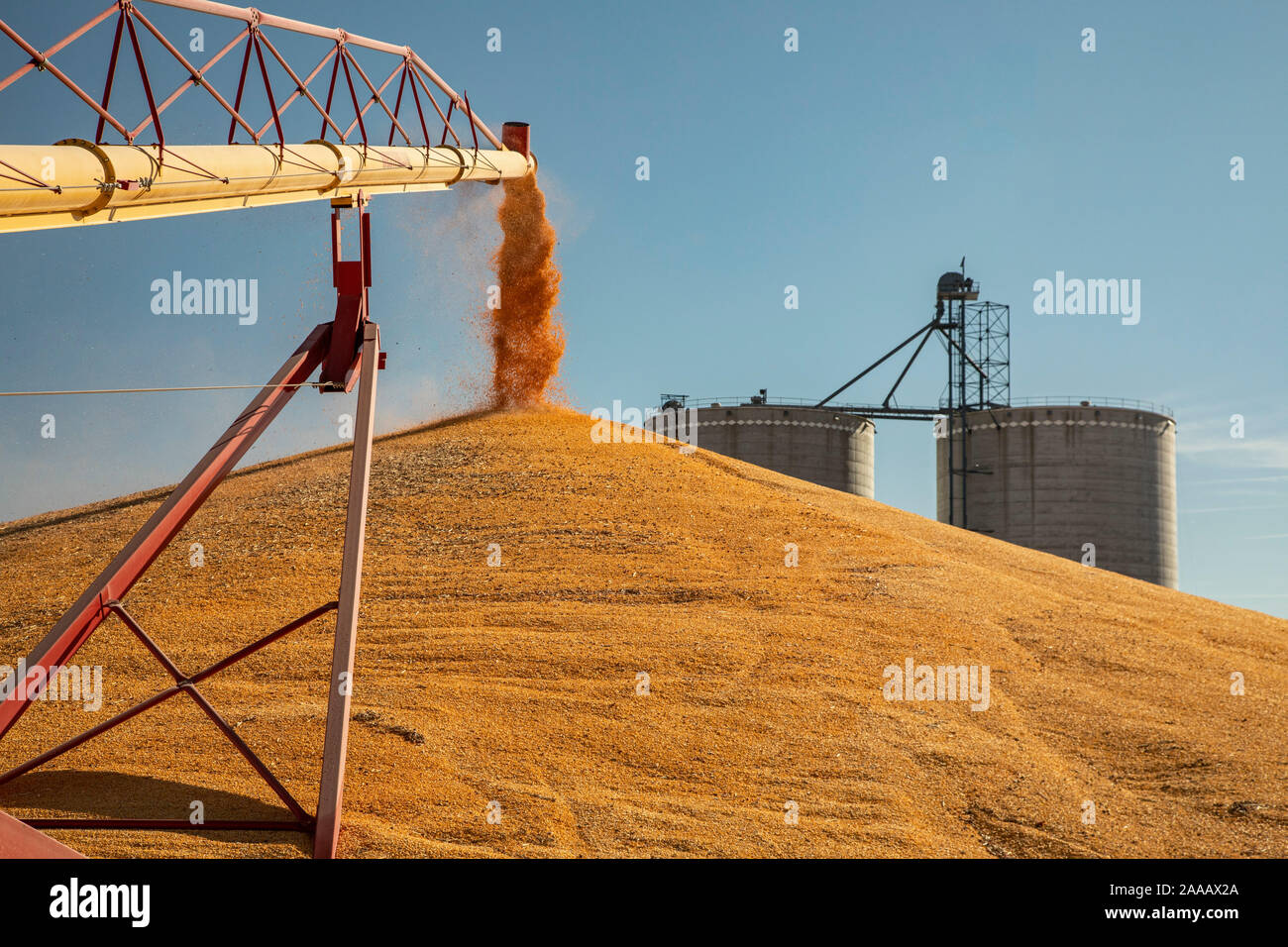 Daykin, Nebraska - Corn is stored temporarily on the ground outside a grain elevator. Stock Photo
