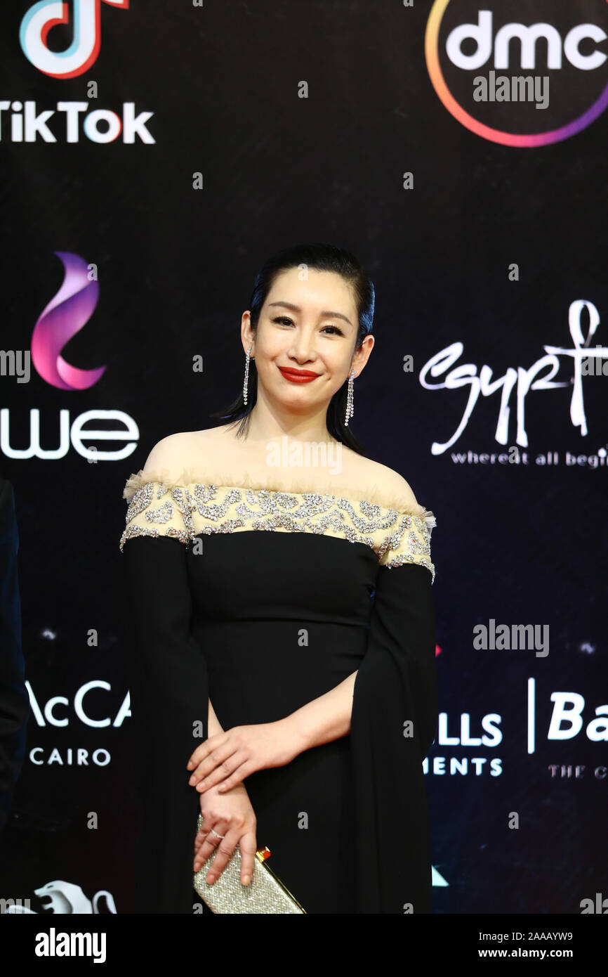 Cairo, Egypt. 20th Nov, 2019. Chinese actress Qin Hailu attends Cairo International Film Festival in Cairo, Egypt, on Nov. 20, 2019. The 41st edition of Cairo International Film Festival (CIFF) kicked off on Wednesday evening in a festive red carpet ceremony at Egypt's Cairo Opera House, gathering movie stars and filmmakers from different parts of the world. Credit: Ahmed Gomaa/Xinhua/Alamy Live News Stock Photo