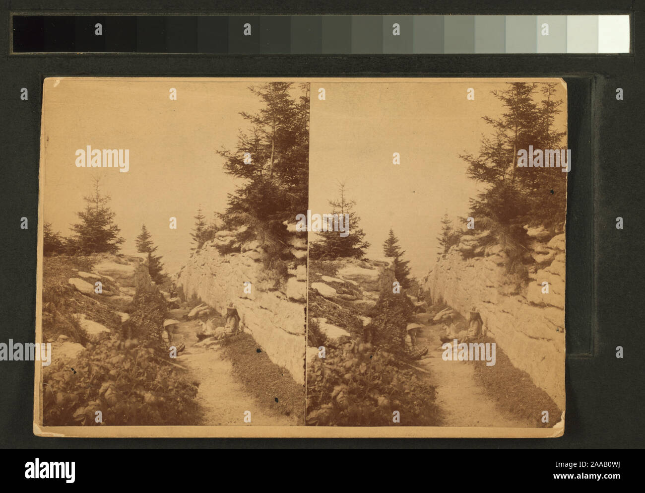 Cleft path, Squirrel Island, Maine.; Cleft path, Squirrel Island, Maine