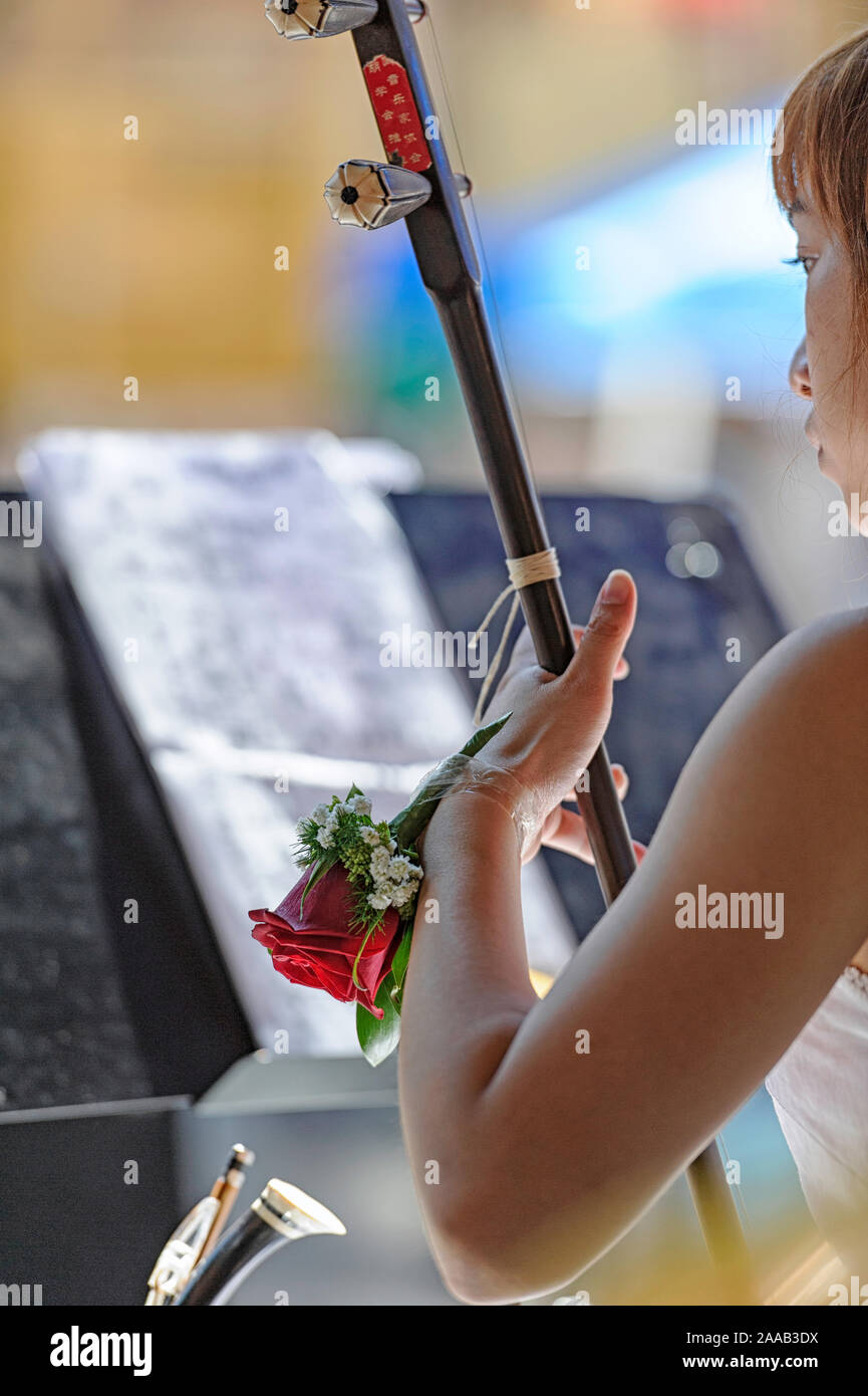 Young Asian woman playing a Chinese erhu stringed instrument at an outdoor concert with a red rose taped to her wrist. Calgary, Alberta Canada Stock Photo