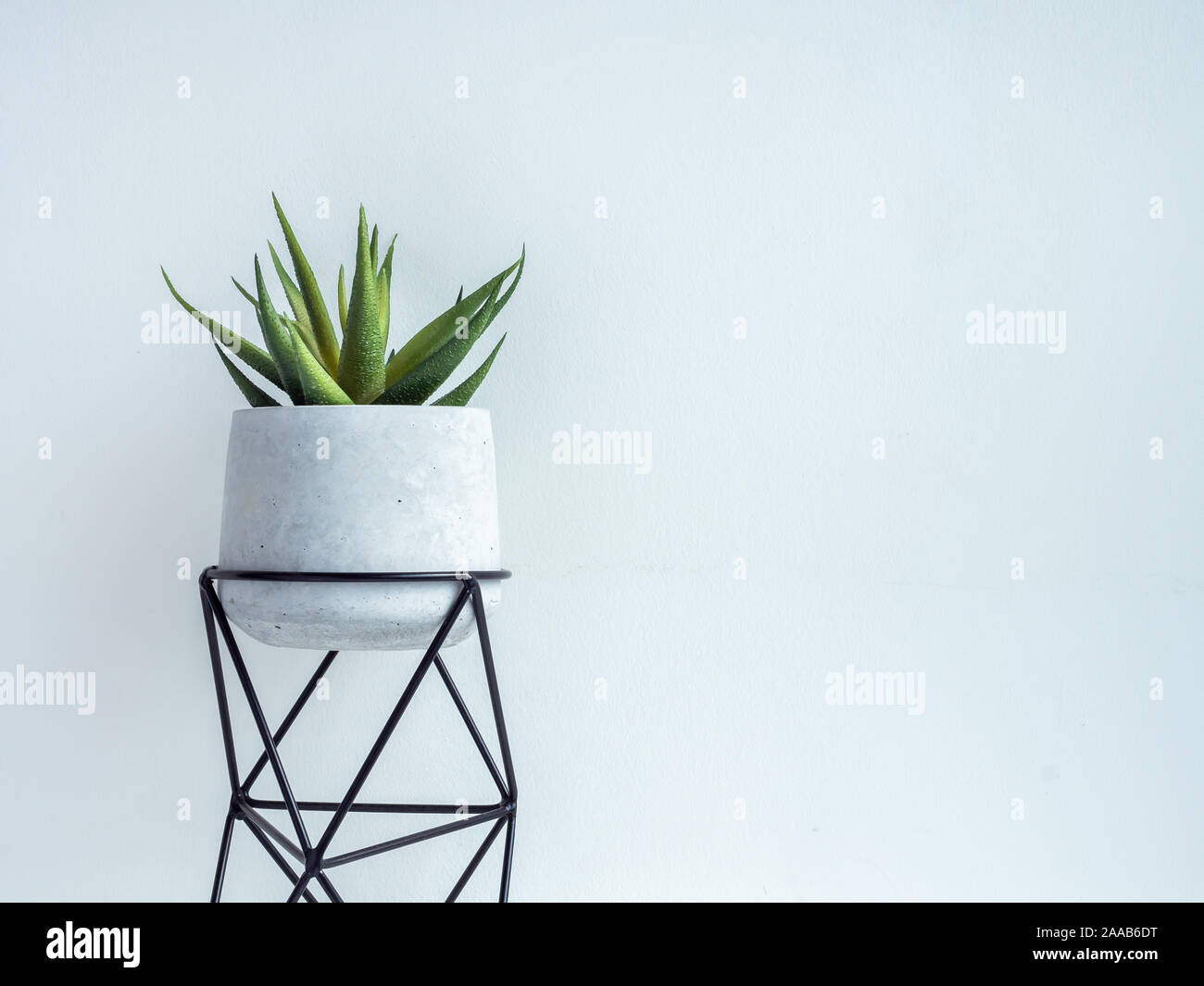 Cactus pot. Concrete pot with iron stand. Green succulent plant in modern standing planter isolated on white background with copy space. Stock Photo
