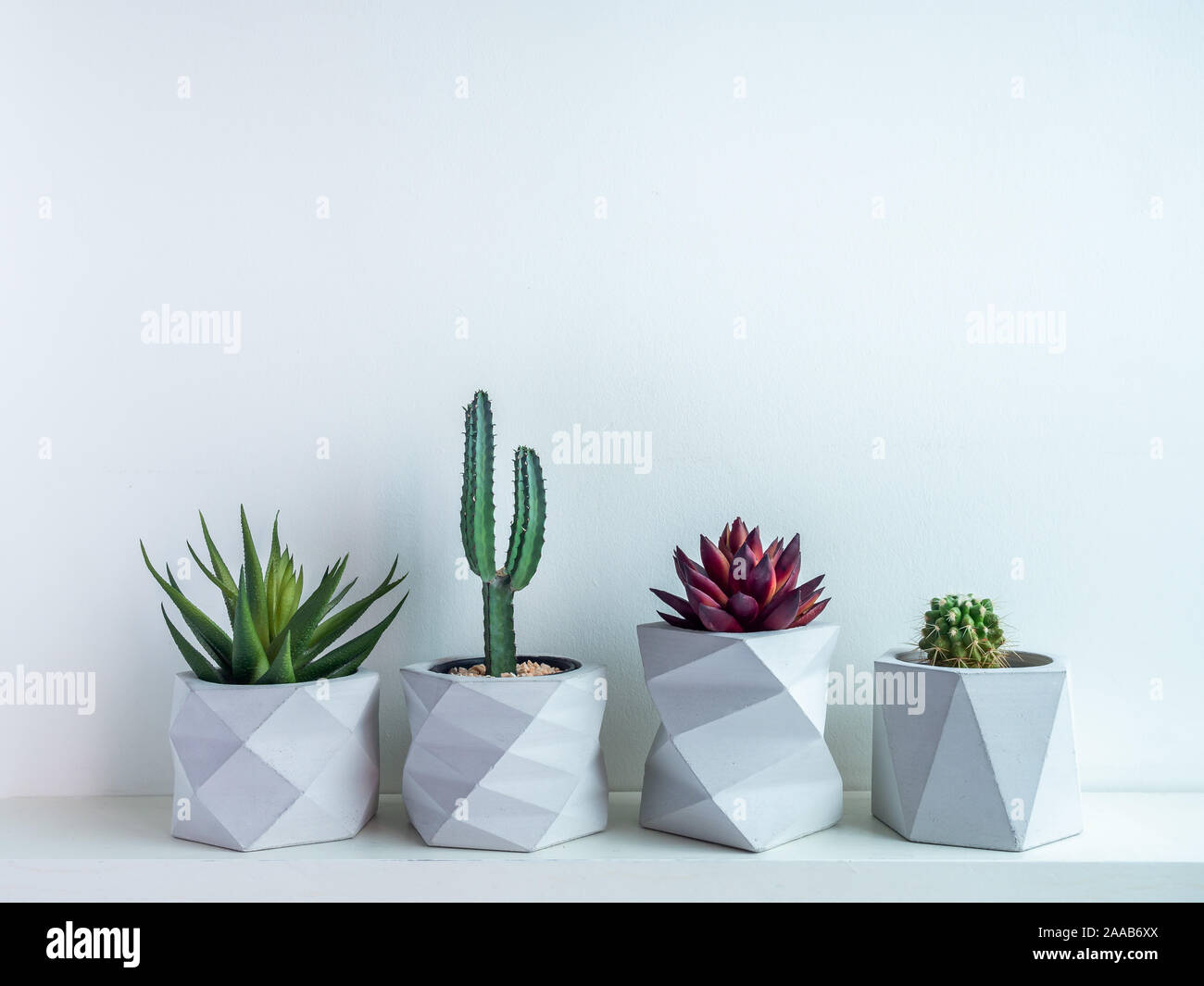 Cactus Pots Concrete Pots Minimal Style Various Cactus And Succulent Plants In Modern Geometric Concrete Planter On White Wooden Shelf Isolated On W Stock Photo Alamy