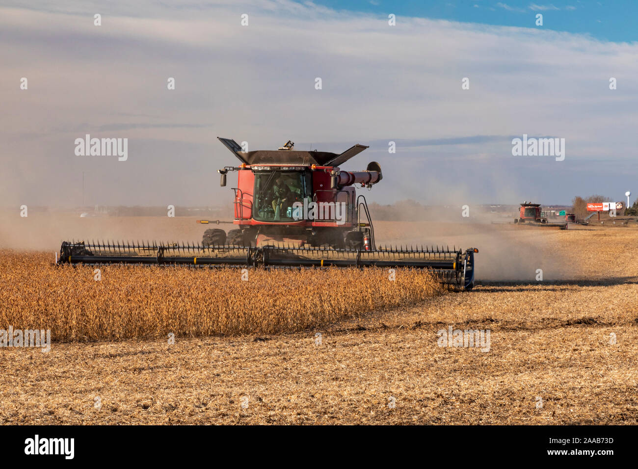 Valley City, North Dakota Combines harvest soybeans at the Noeske
