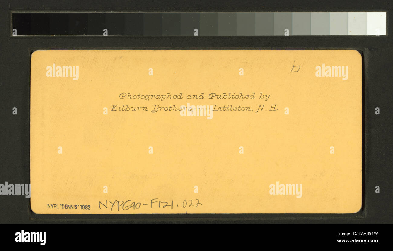 Cotton pickers, Florida.; Cotton pickers, Florida Stock Photo Alamy