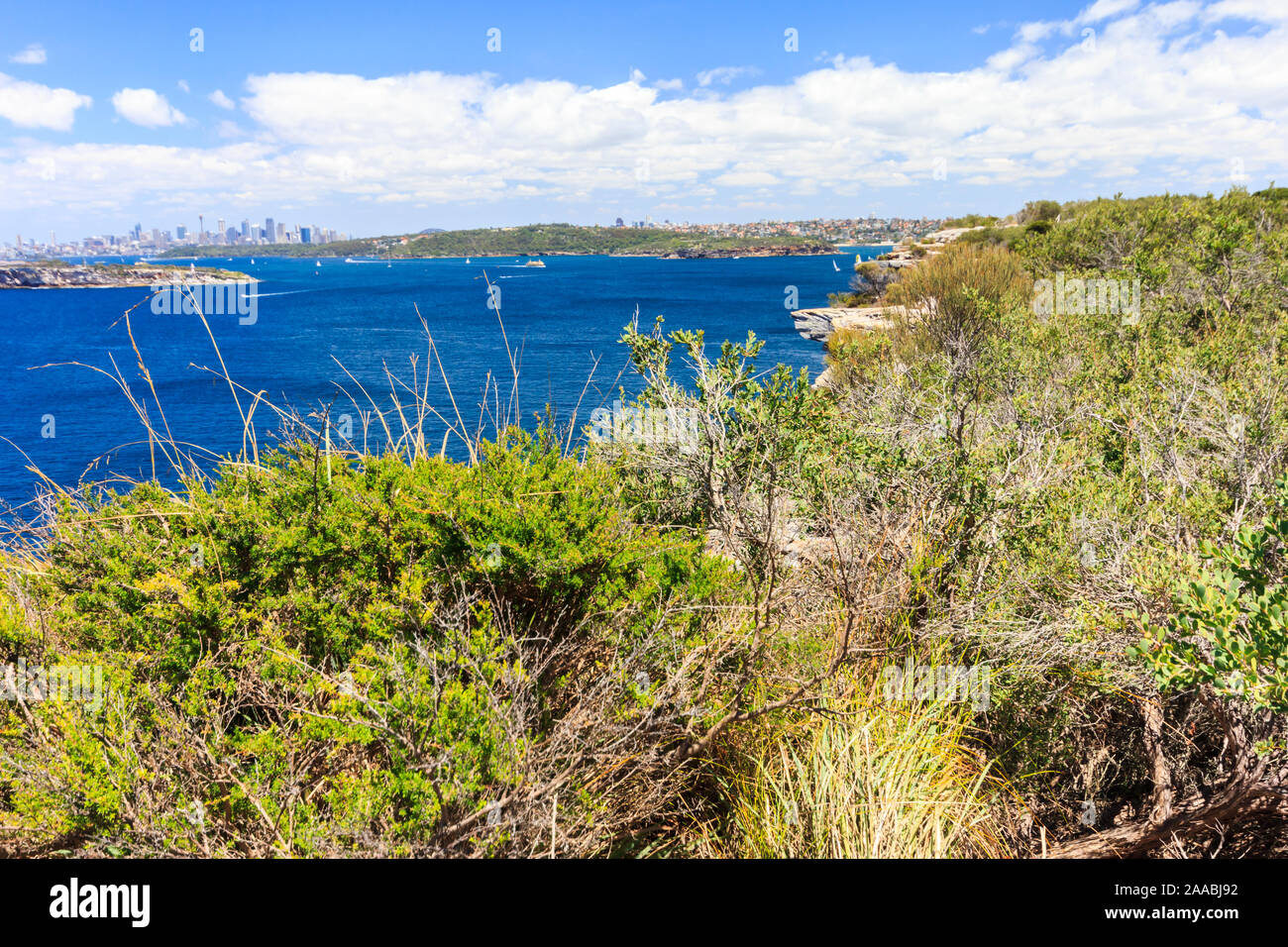View of Sydney Harbor entrance from North Point with Sydney skyline in the background, Australia Stock Photo
