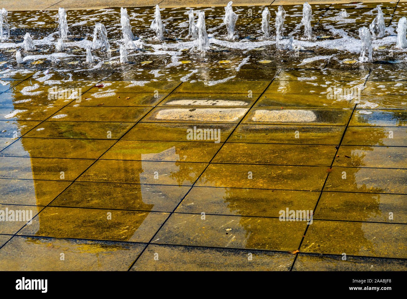 Reflection Front Fountain Facade Outdoors San Fernando Cathedral San