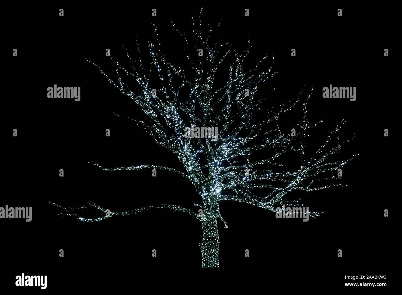 LONDON, ENGLAND, UK JANUARY 04 2019 Christmas lights display at