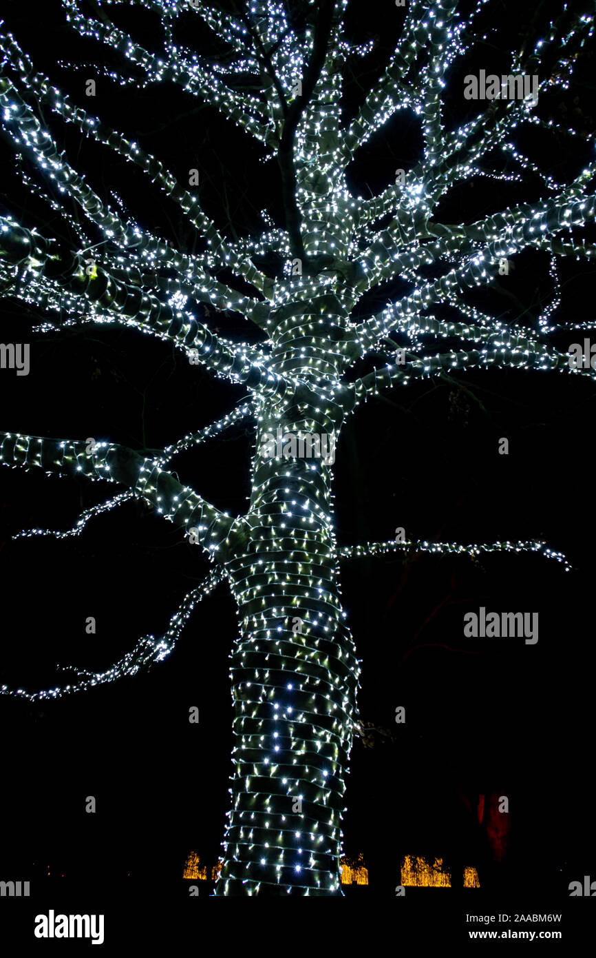 LONDON, ENGLAND, UK JANUARY 04 2019 Christmas lights display at