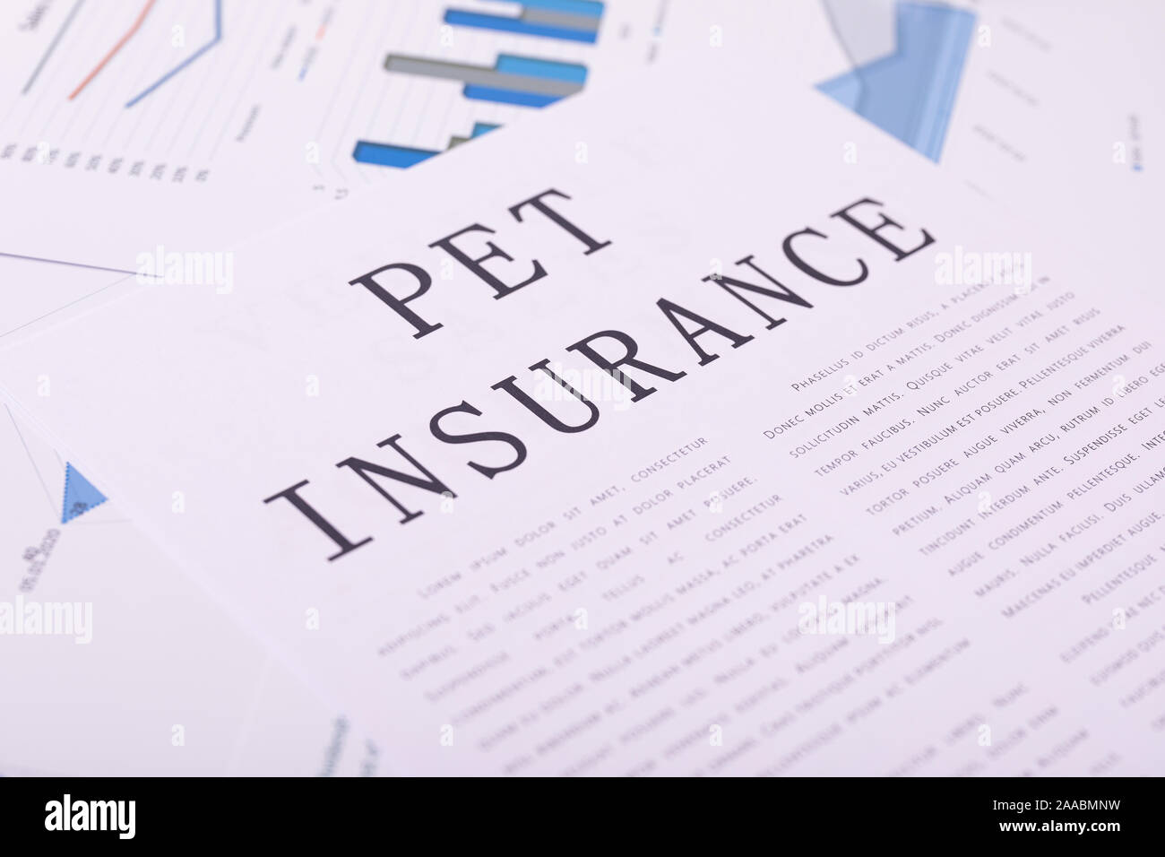 pet insurance, documents on the desktop Stock Photo Alamy