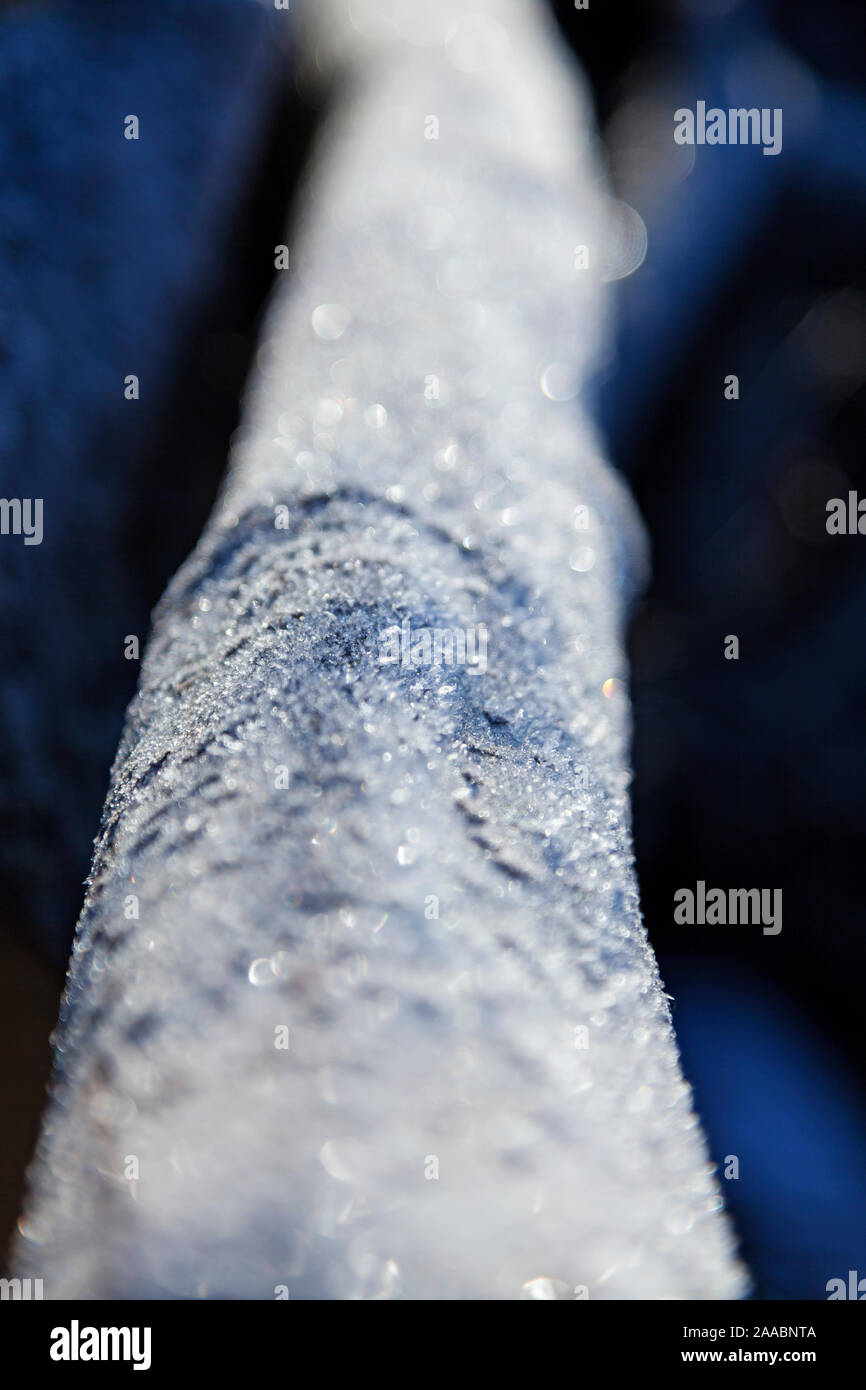 ice crystals on a fallen tree lying in the forest Stock Photo