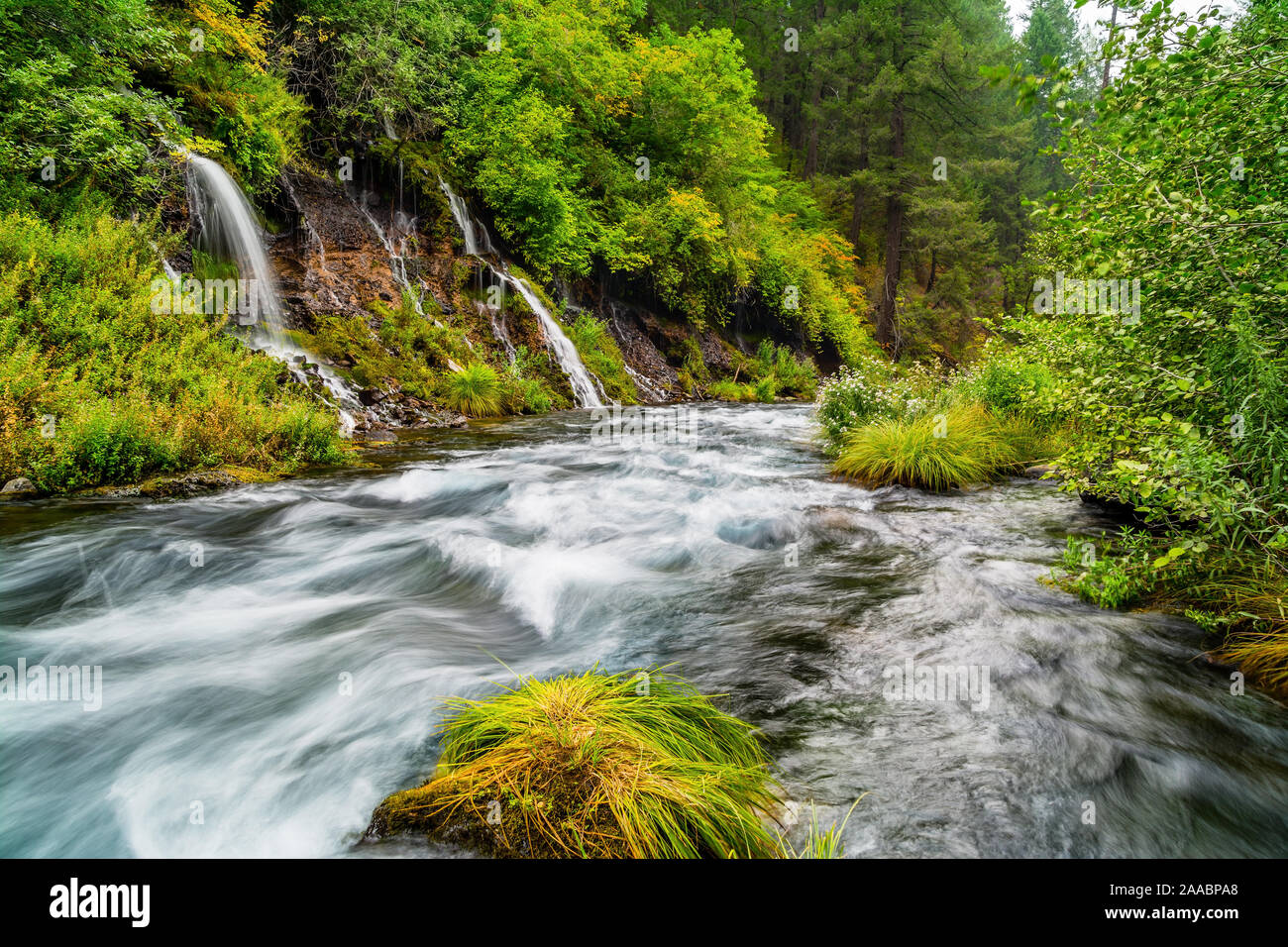 Waterfalls in the serene forest Stock Photo
