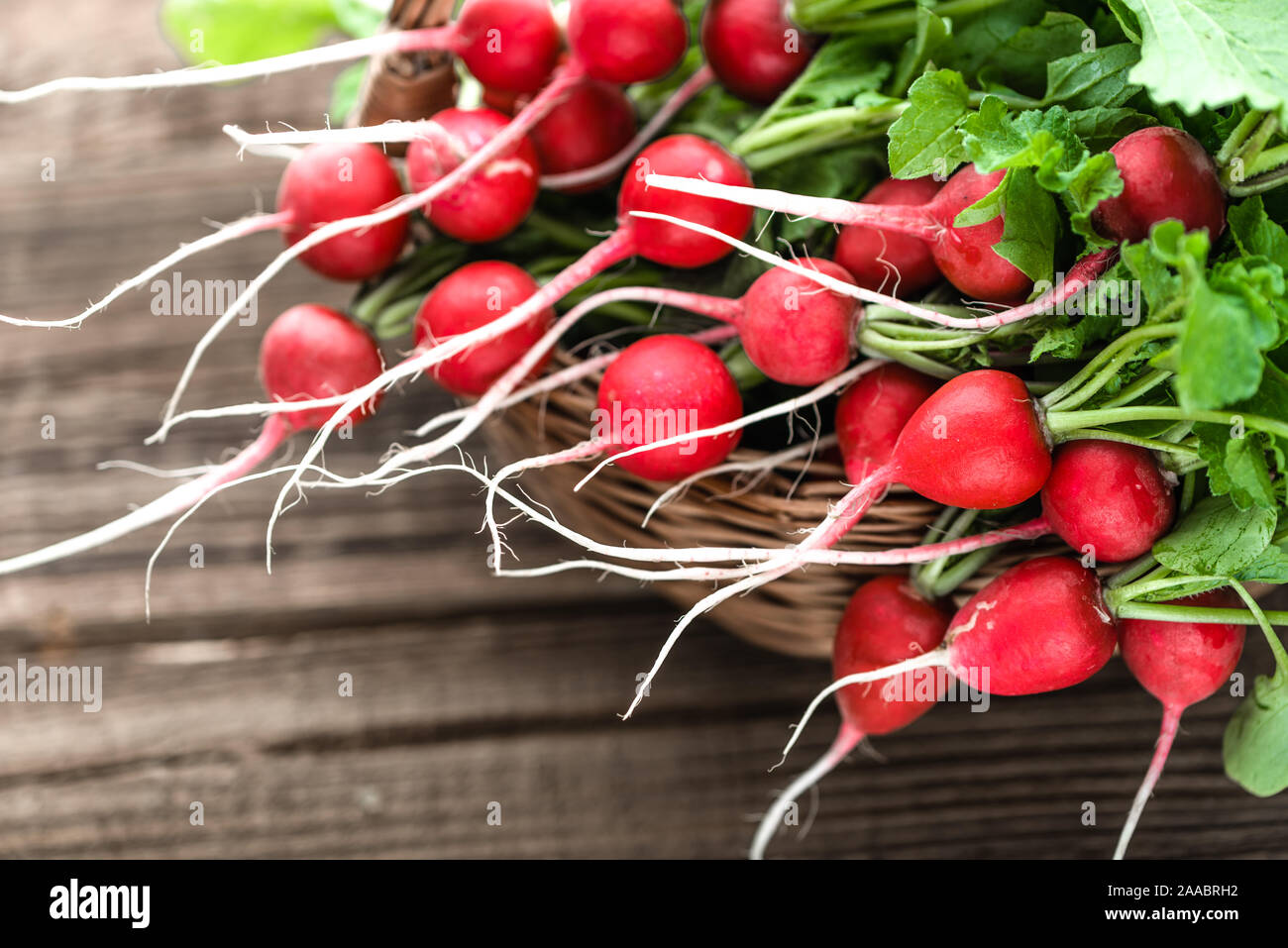 https://c8.alamy.com/comp/2AABRH2/farm-fresh-vegetables-organic-freshly-harvested-radishes-red-bunch-of-radish-on-farmer-market-2AABRH2.jpg