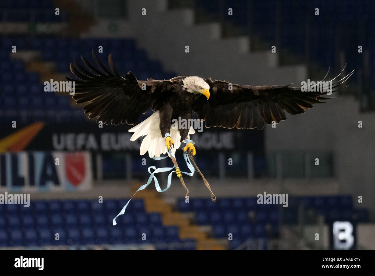 Roma Italy November 7 2019 Lazio S Mascot Olimpia Eagle Flies Before The Match Uefa Euro League
