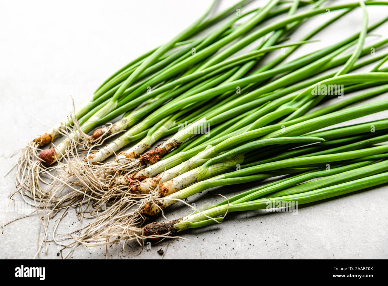 Spring onion green hires stock photography and images Alamy