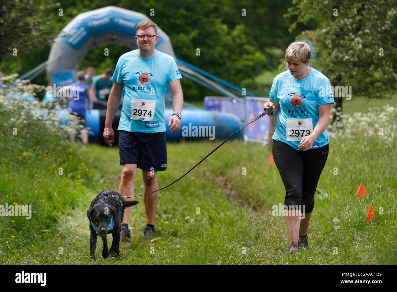 Dogs and their owners taking part in the Muddy Dog Challenge, tackling an obstacle course while