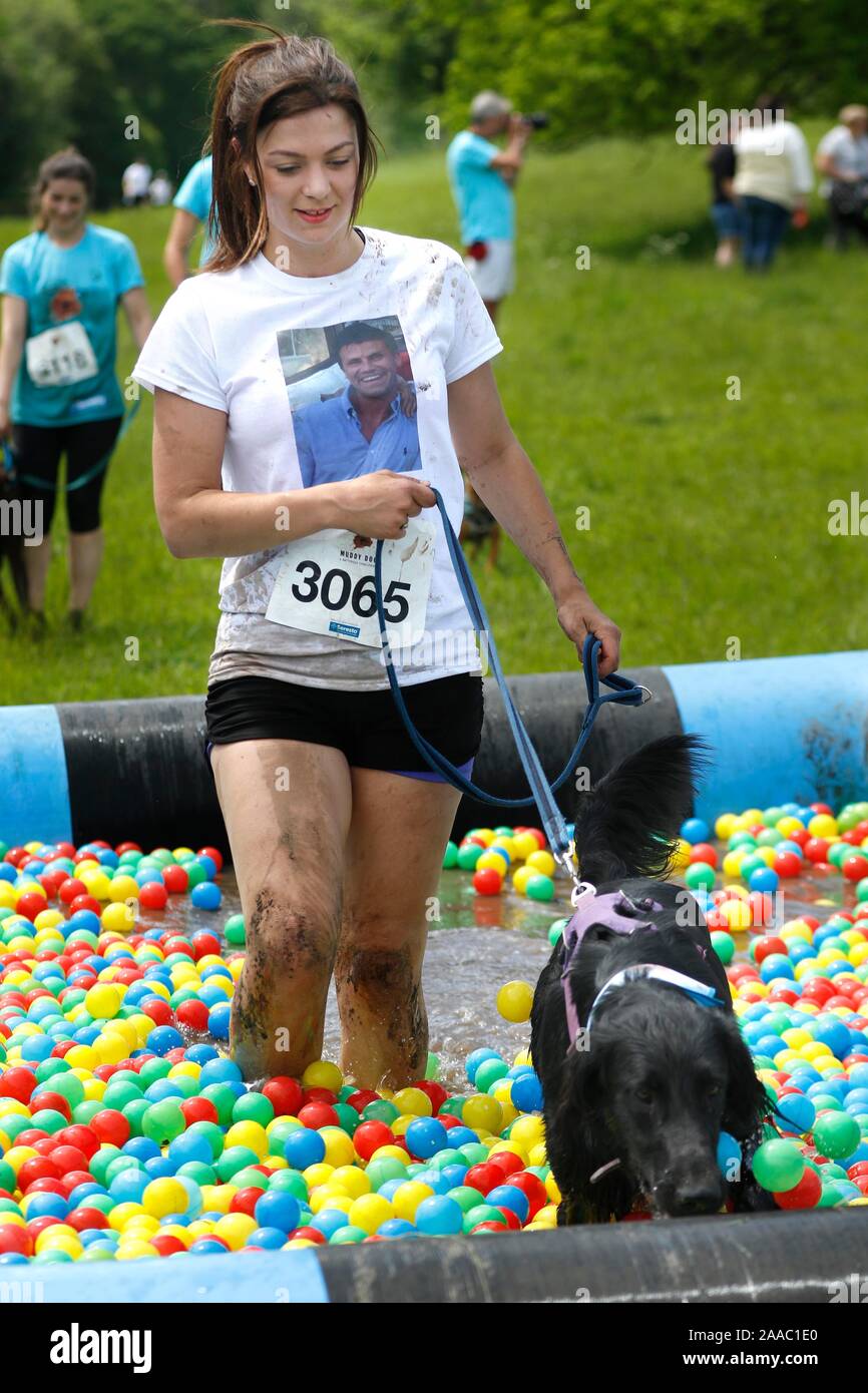 Dogs and their owners taking part in the Muddy Dog Challenge, tackling