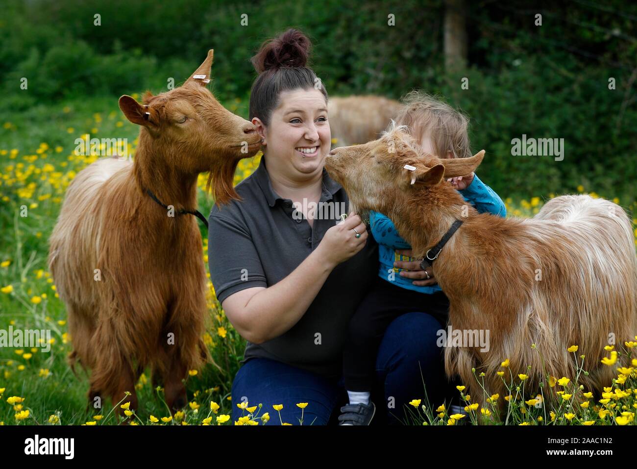 Natasha Groom, 26, who has founded Delilah’s Umbrella, a charity which supports people with mental health problems by providing livestock in a therape Stock Photo