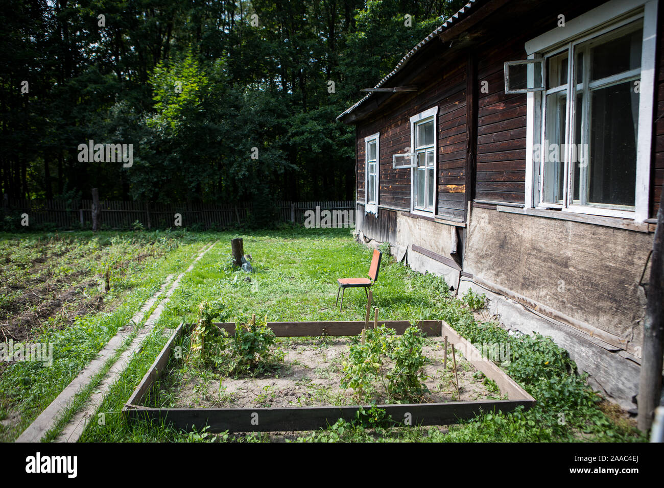 Simple country house with a garden in the countryside, in the heart of Russia Stock Photo