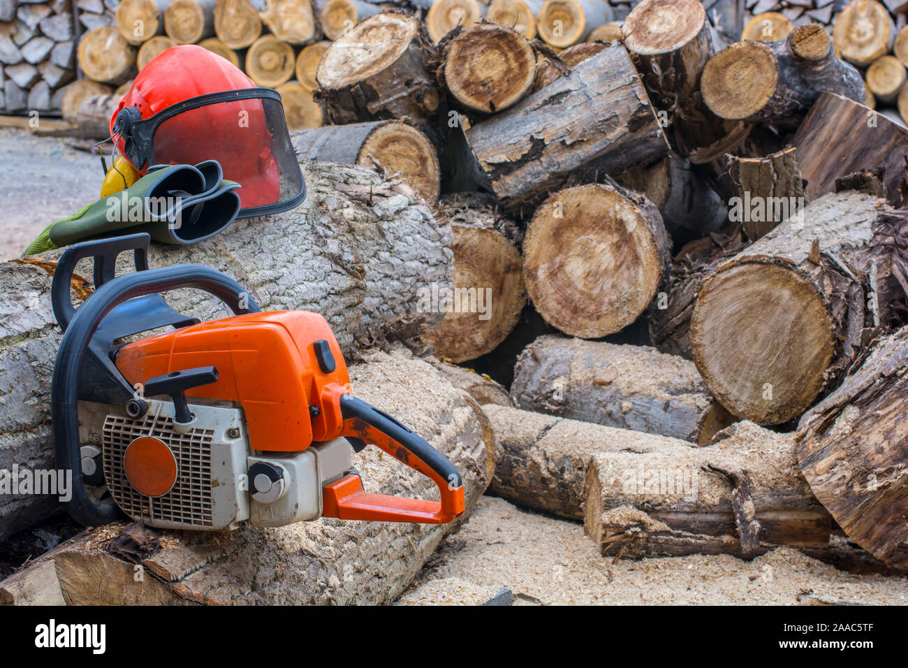 Forest workers crushing tree trunks into firewood Stock Photo Alamy