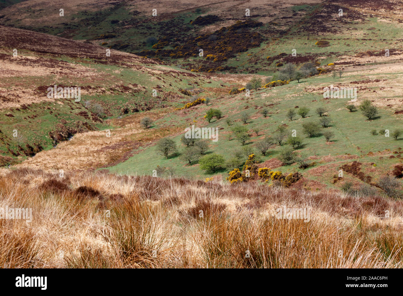 Withypool Common, Exmoor, Somerset, England, UK Stock Photo Alamy