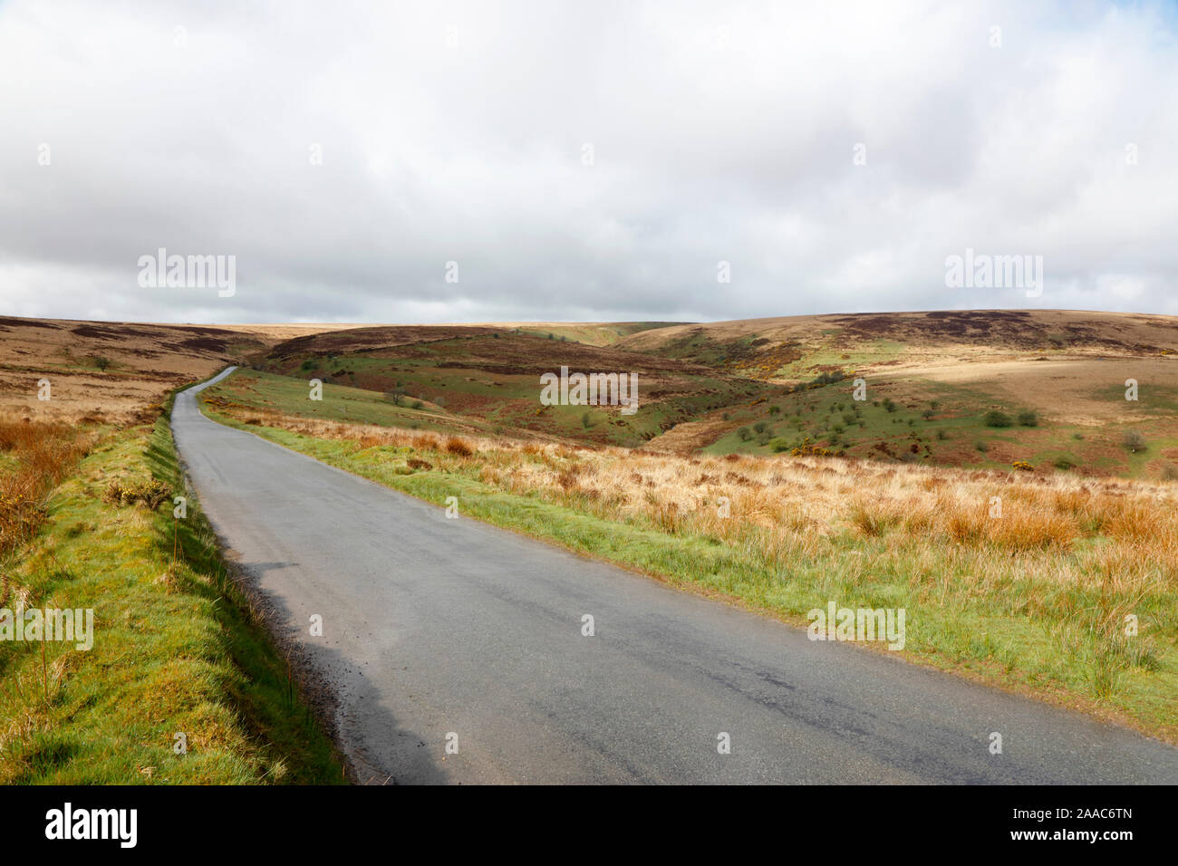 Withypool Common, Exmoor, Somerset, England, UK Stock Photo Alamy