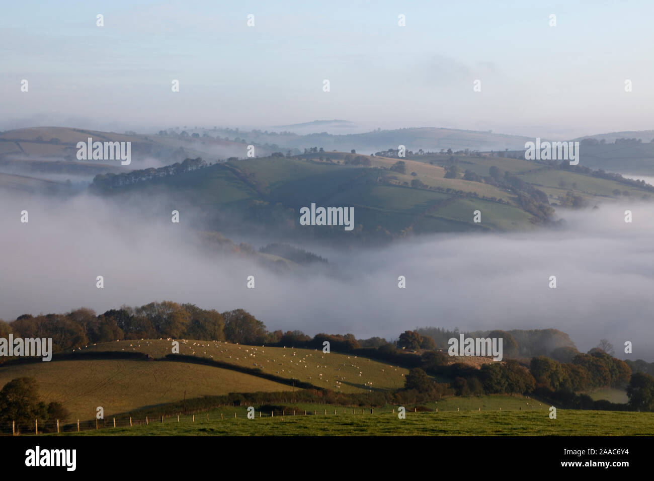 Low lying mist in the Clun Valley near Newcastle, Shropshire, England, UK Stock Photo