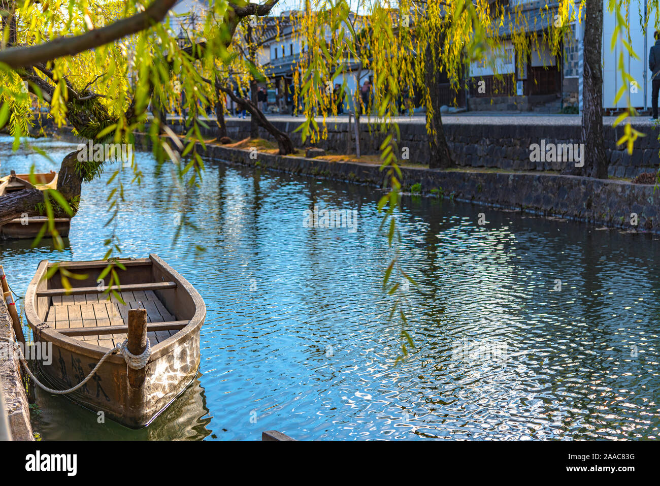 View of traditional wooden boat docked on the river bank with willow trees Stock Photo