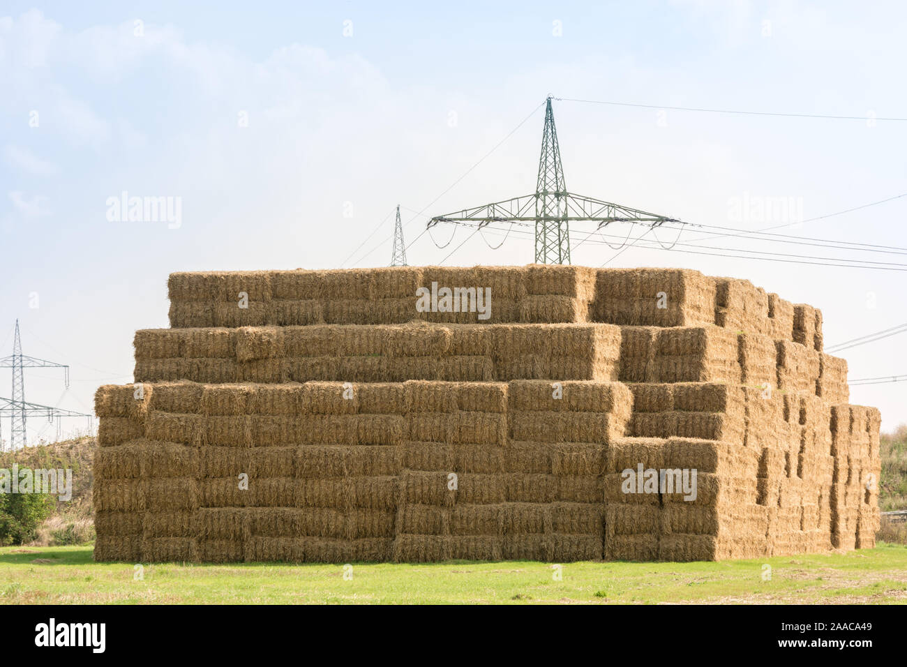 Many stacked hay bales on a field Stock Photo
