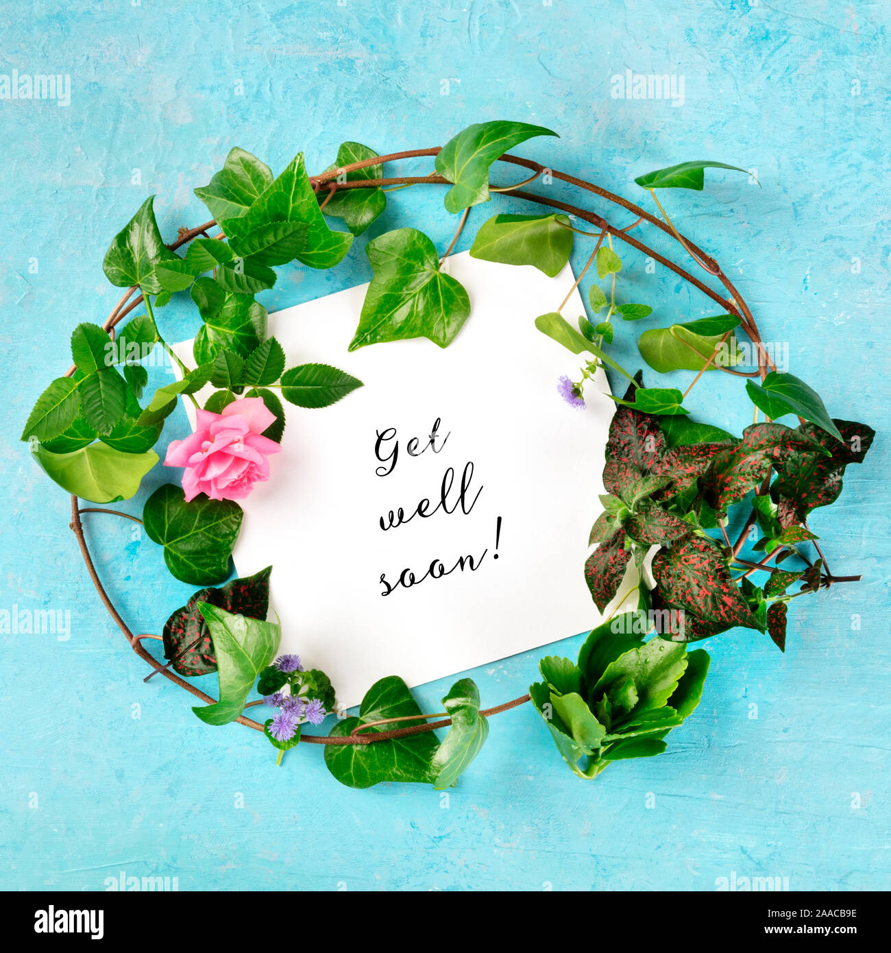 Get well soon hand lettering with cute bear. Motivational quote Stock Photo  - Alamy