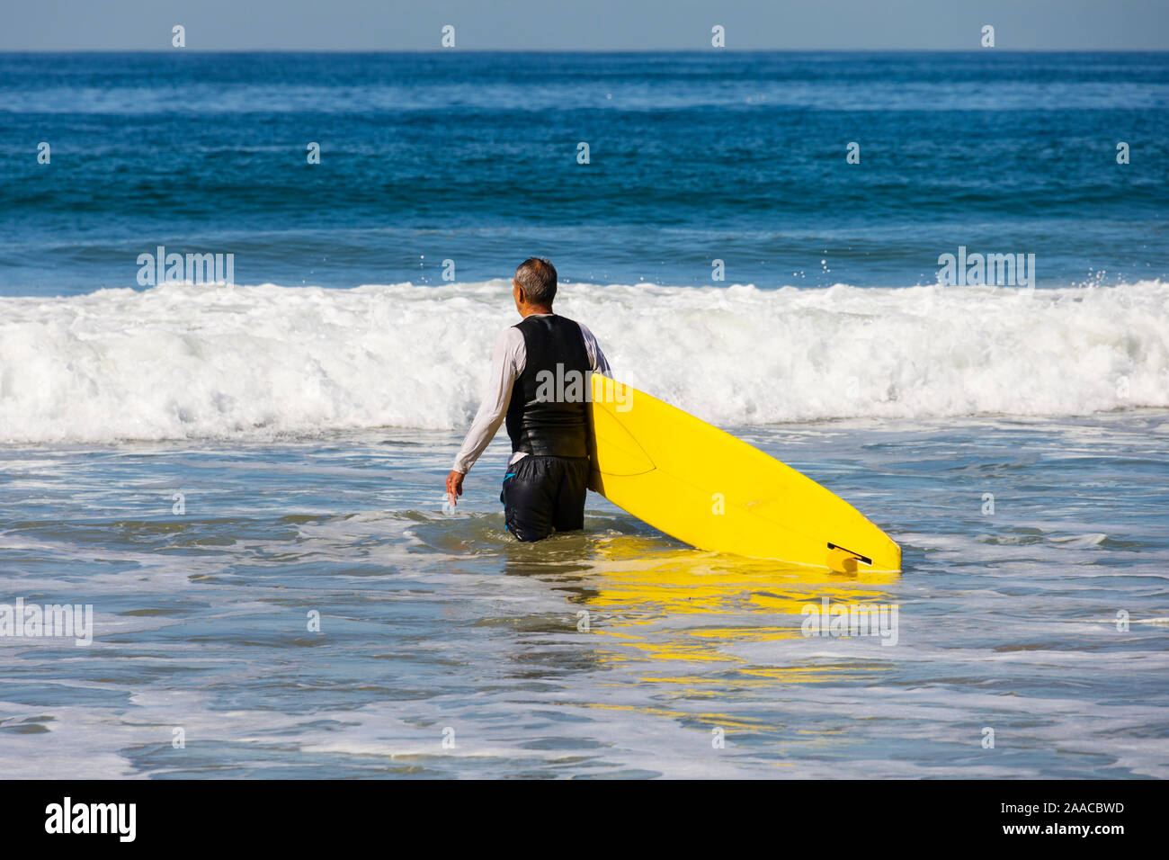 An older man takes his yellow surf board into the sea, Santa Monica beach, California, United States of america. USA. October 2019 Stock Photo