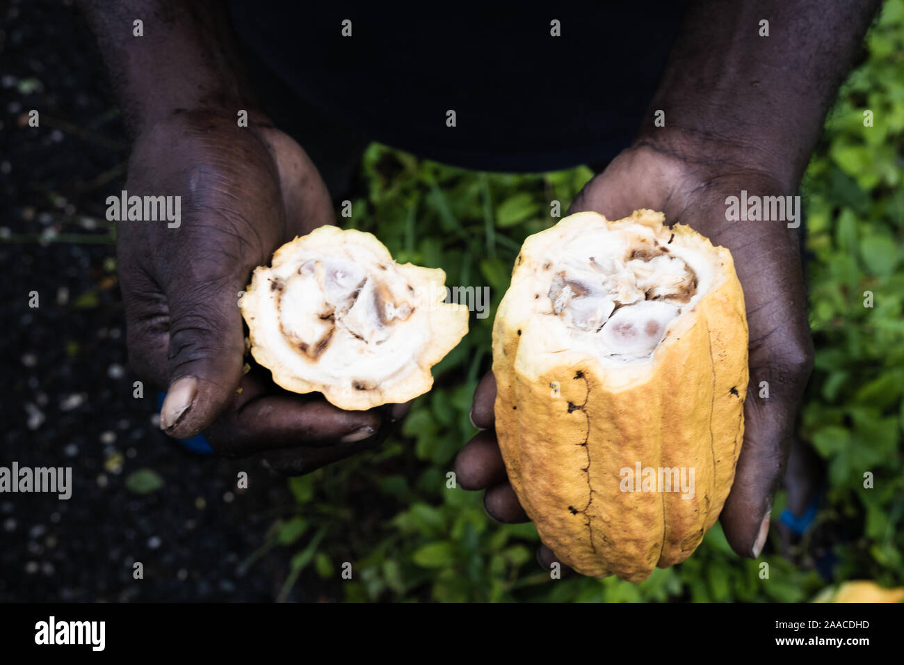 Economic development would be key to nation building in an independent Bougainville. 'I would like to follow Fiji's model of think big start slow' say Stock Photo