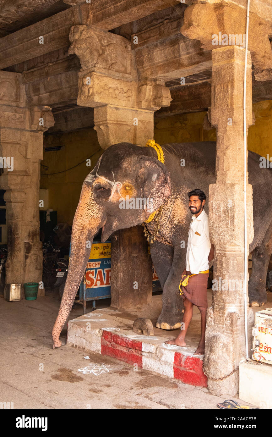 Mahout and elephant inside the Rock Fort Temple in Tiruchirappalli, Tamil Nadu, India. Stock Photo