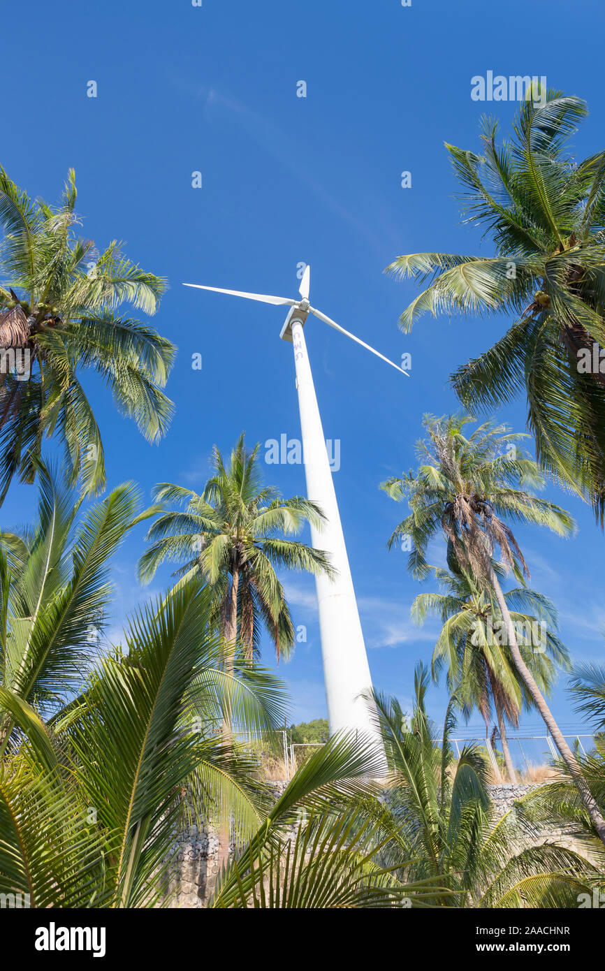 Wind turbine surrounded by palm trees, Thailand Stock Photo