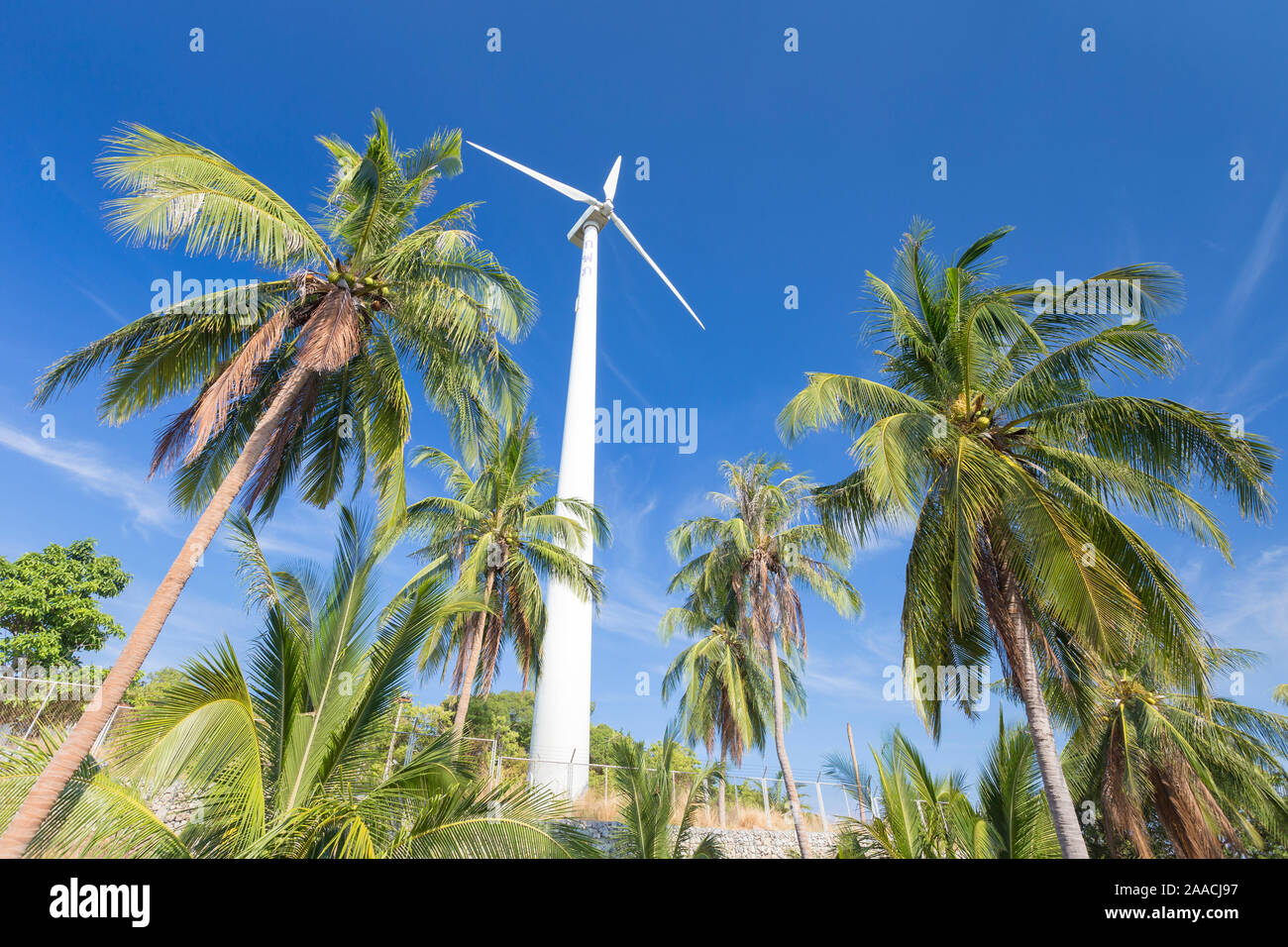 Wind turbine surrounded by palm trees, Thailand Stock Photo