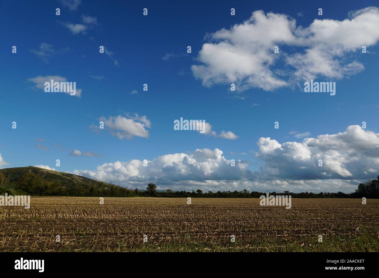 Cumulus clouds and blue sky near Loxton, Somerset, England, UK, with Crook Peak in the distance. Stock Photo