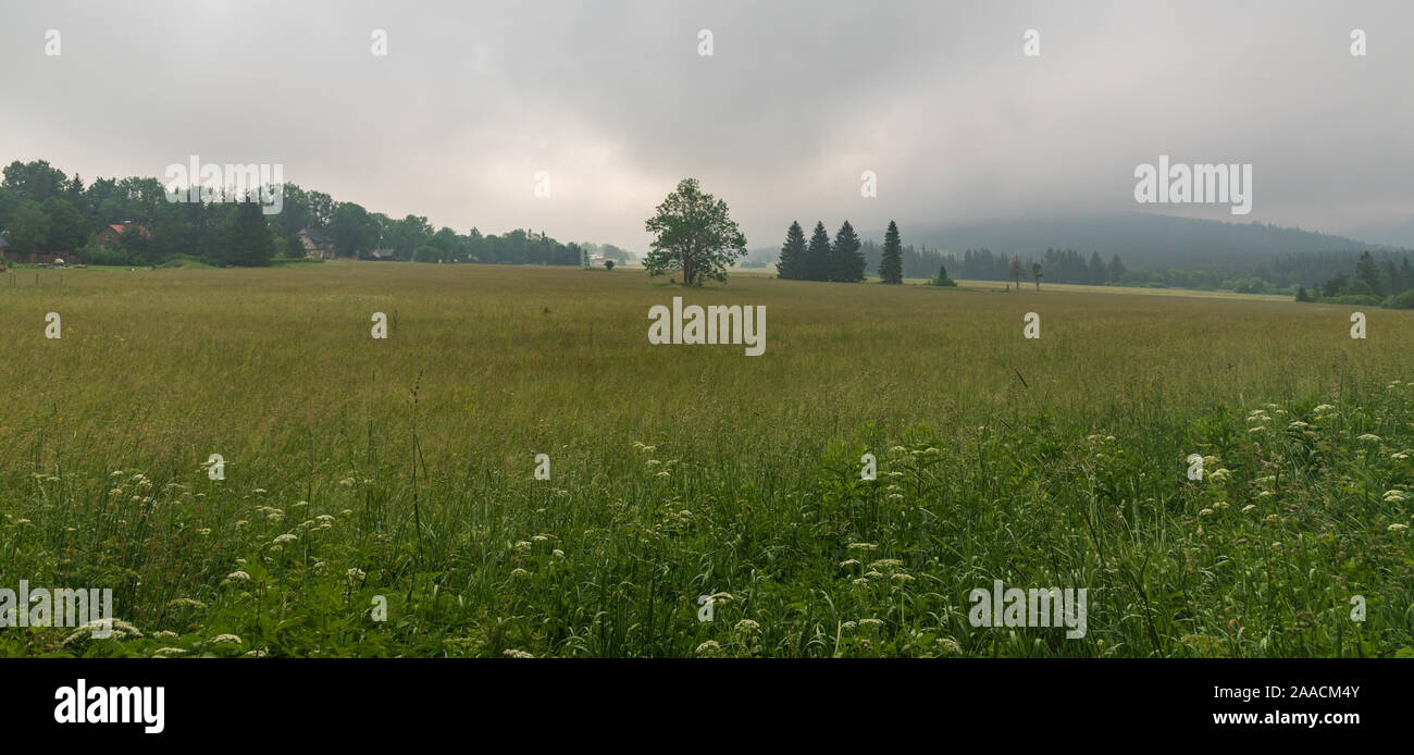 cloudy morning on Rejviz in Jeseniky mountains in Czech republic with meadow, trees, few wooden houses and hills around Stock Photo