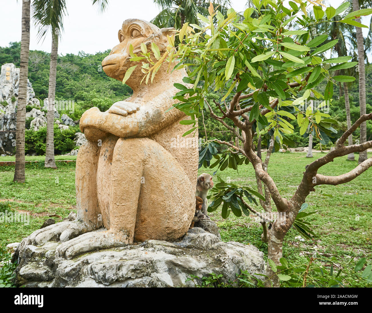 Macaque monkey hide behind monkey statue. Monkey Island, Vietnam, Nha