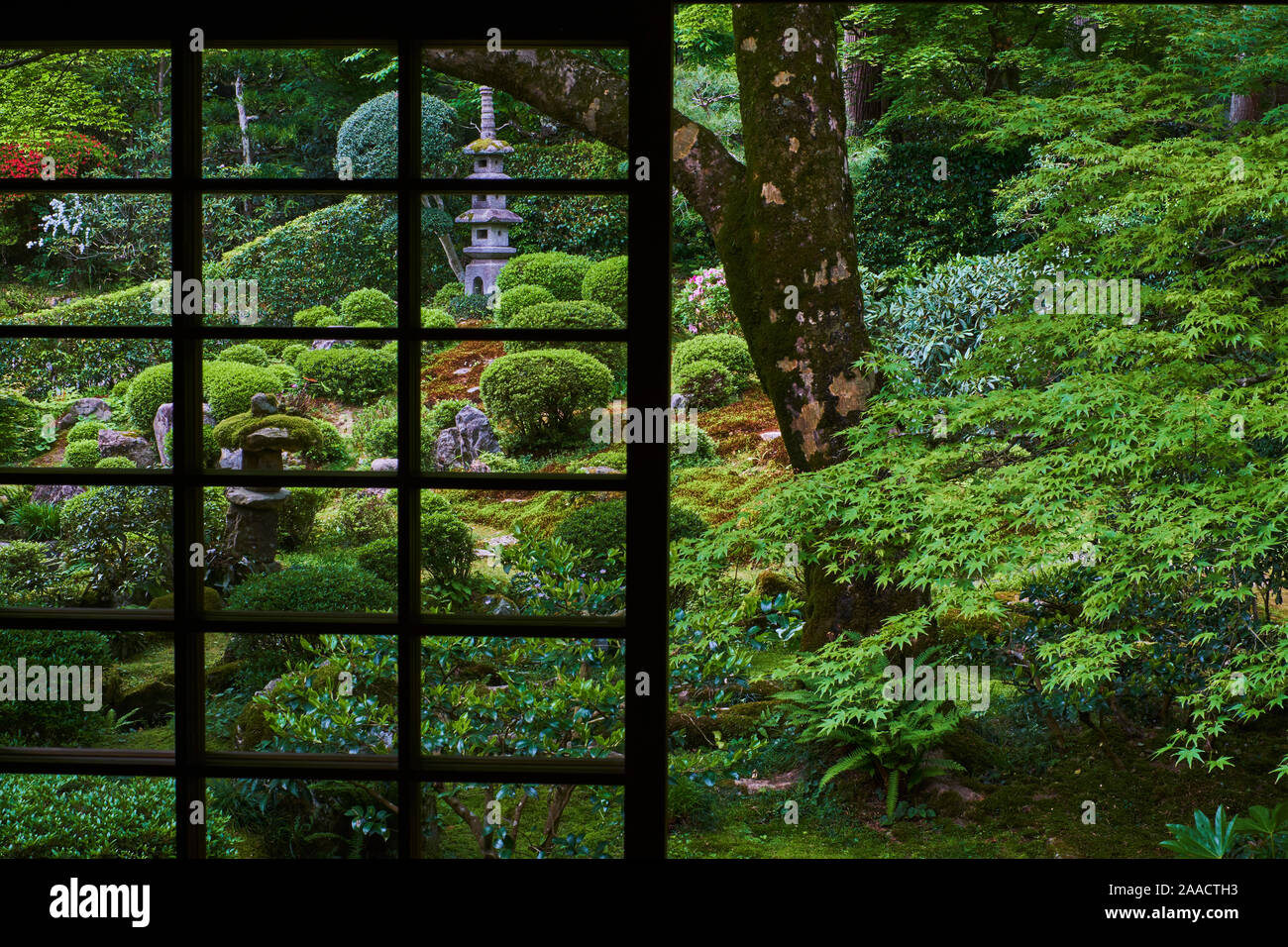 Japan, Honshu island, Kansai region, Kyoto, Jikko-in temple Stock Photo