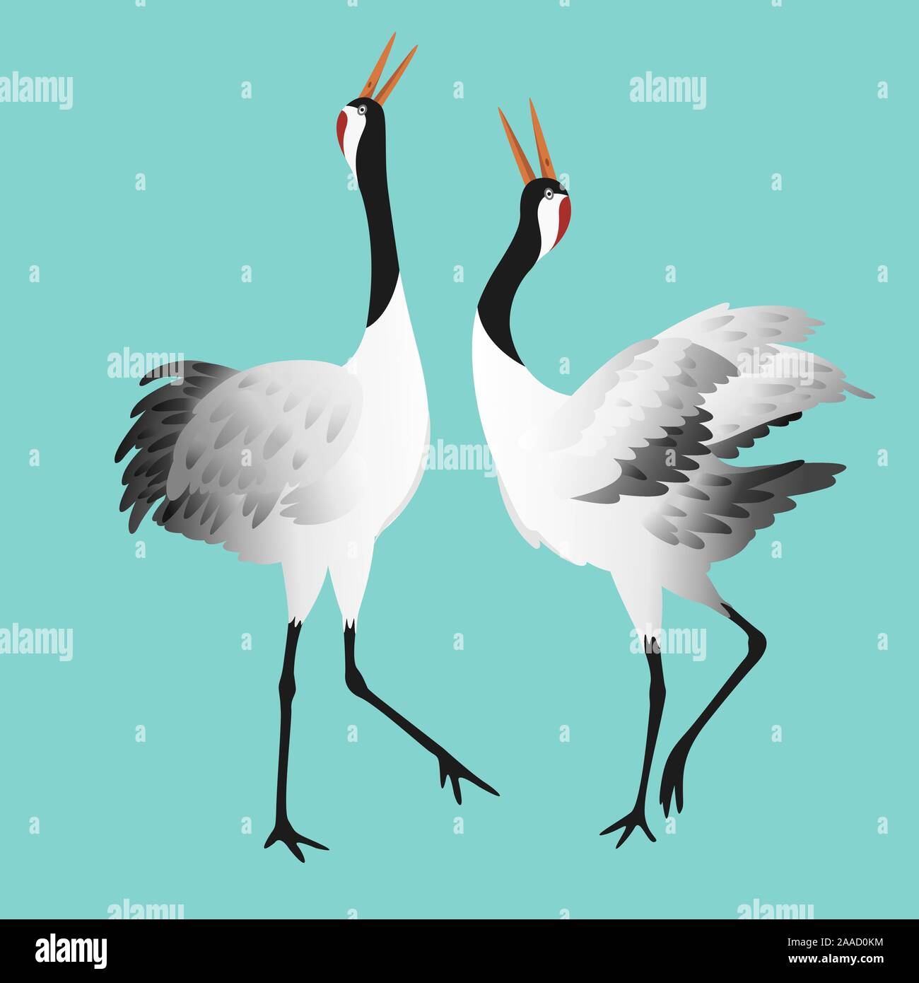 Japanese dancing red-crowned crane in different poses isolated Stock Vector