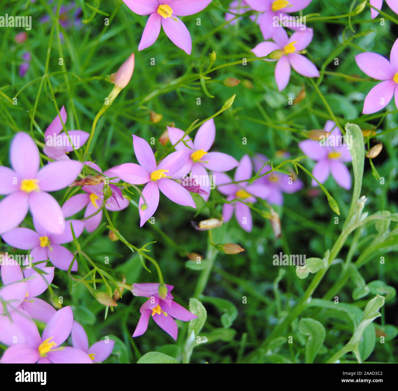 My Image 15