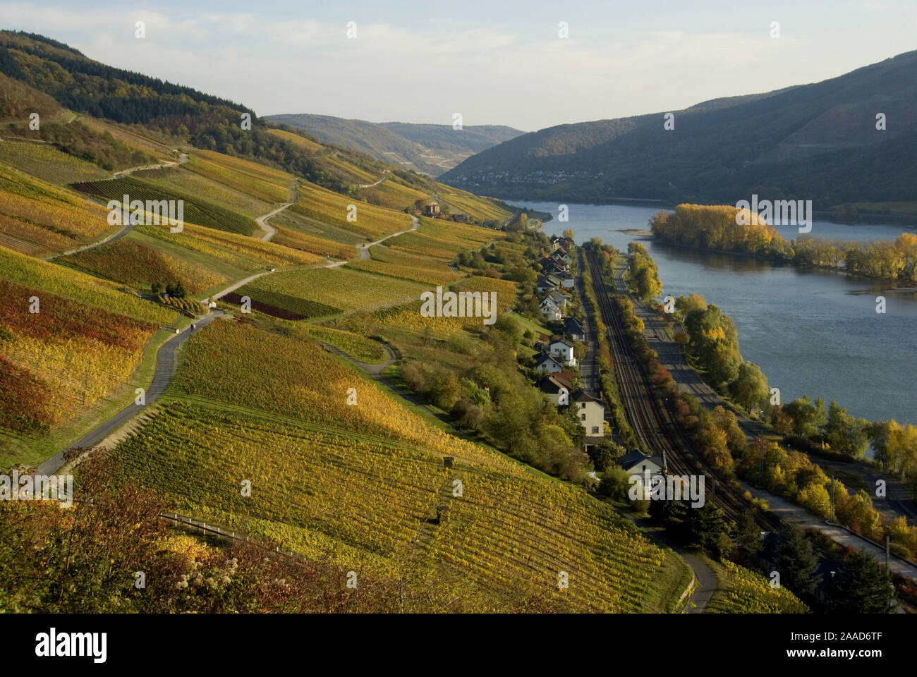 Reise; Rhein; Fluss; Weinberg; Unesco; Rheintal; Herbstlandschaft; Herbst; Lorch; Mittelrhein; Rheinland-Pfalz; Deutschland; Europa; Weinberge; Ort; R Stock Photo