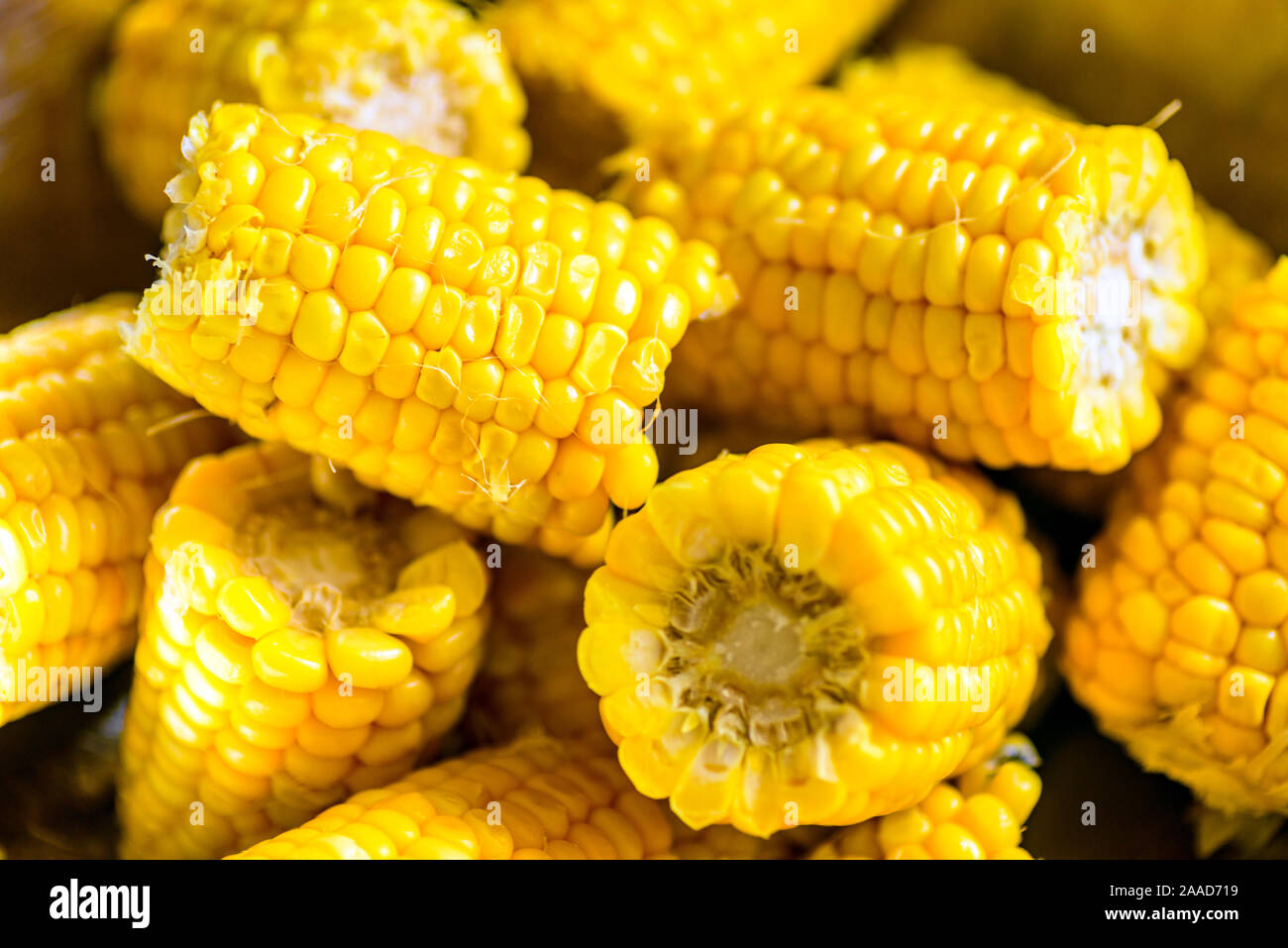 Corn on the cob in a bowl cooked Stock Photo