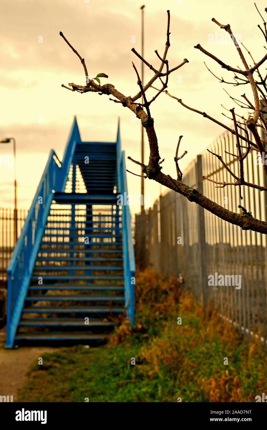 Gnarled tree branches in winter against metal footbridge painted blue against threatening sky Stock Photo