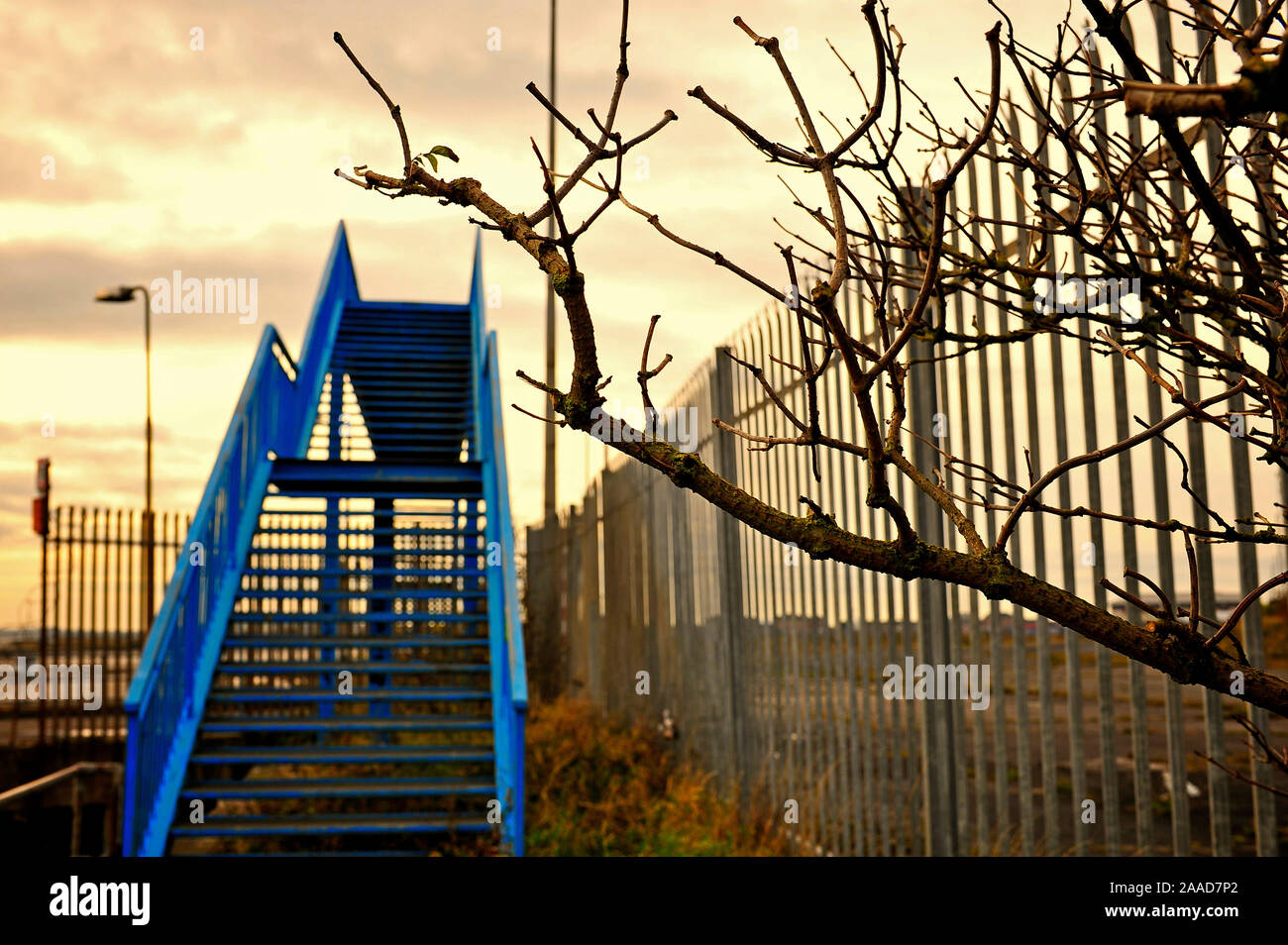 Gnarled tree branches in winter against metal footbridge painted blue against threatening sky Stock Photo