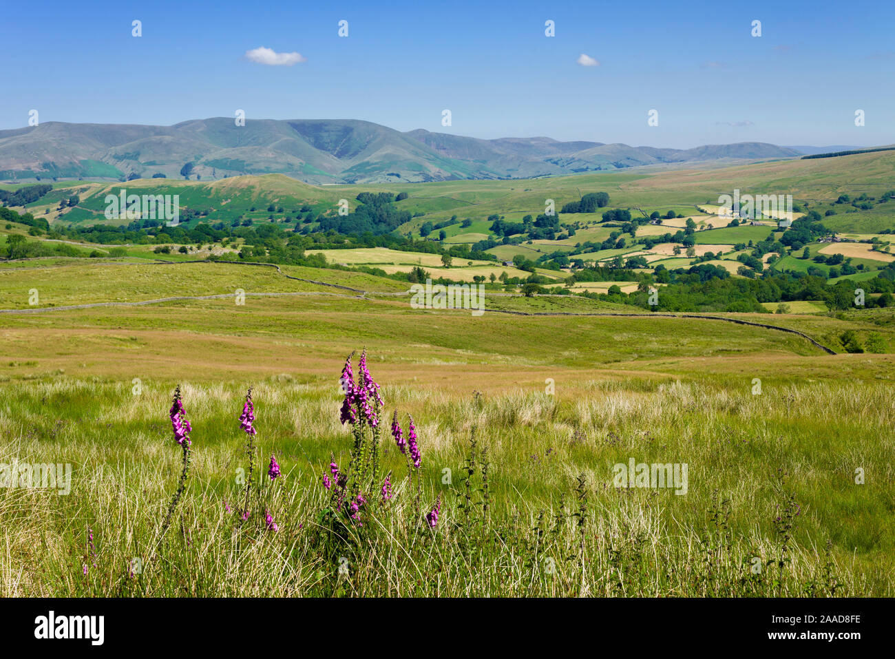 The view over Dentdale from Occupation Road in the Yorkshire Dales National Park with Howgill Fells beyond, Cumbria, England. Stock Photo