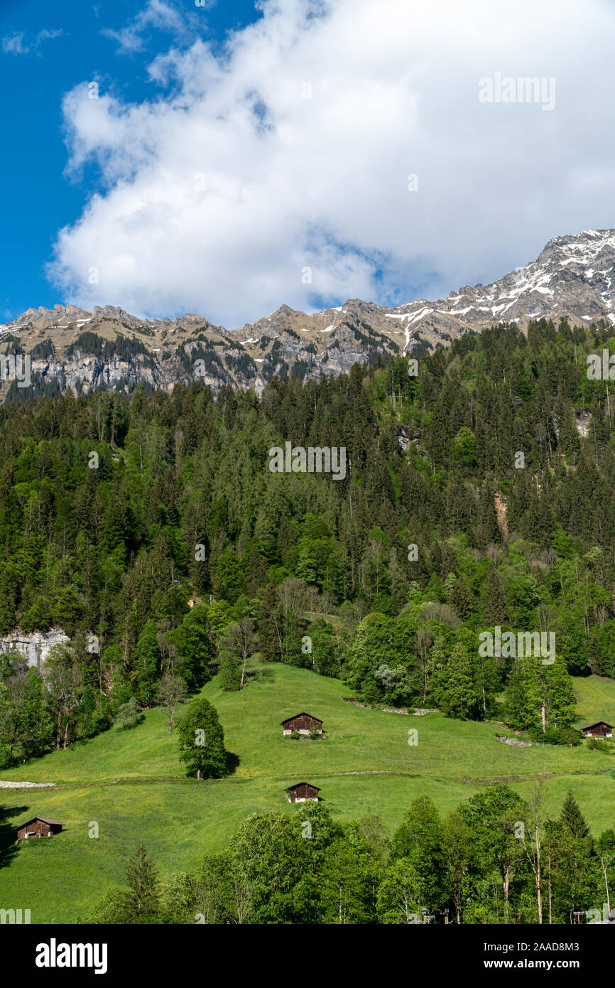 Mountain meadow in front of mountain range hi-res stock photography and  images - Alamy