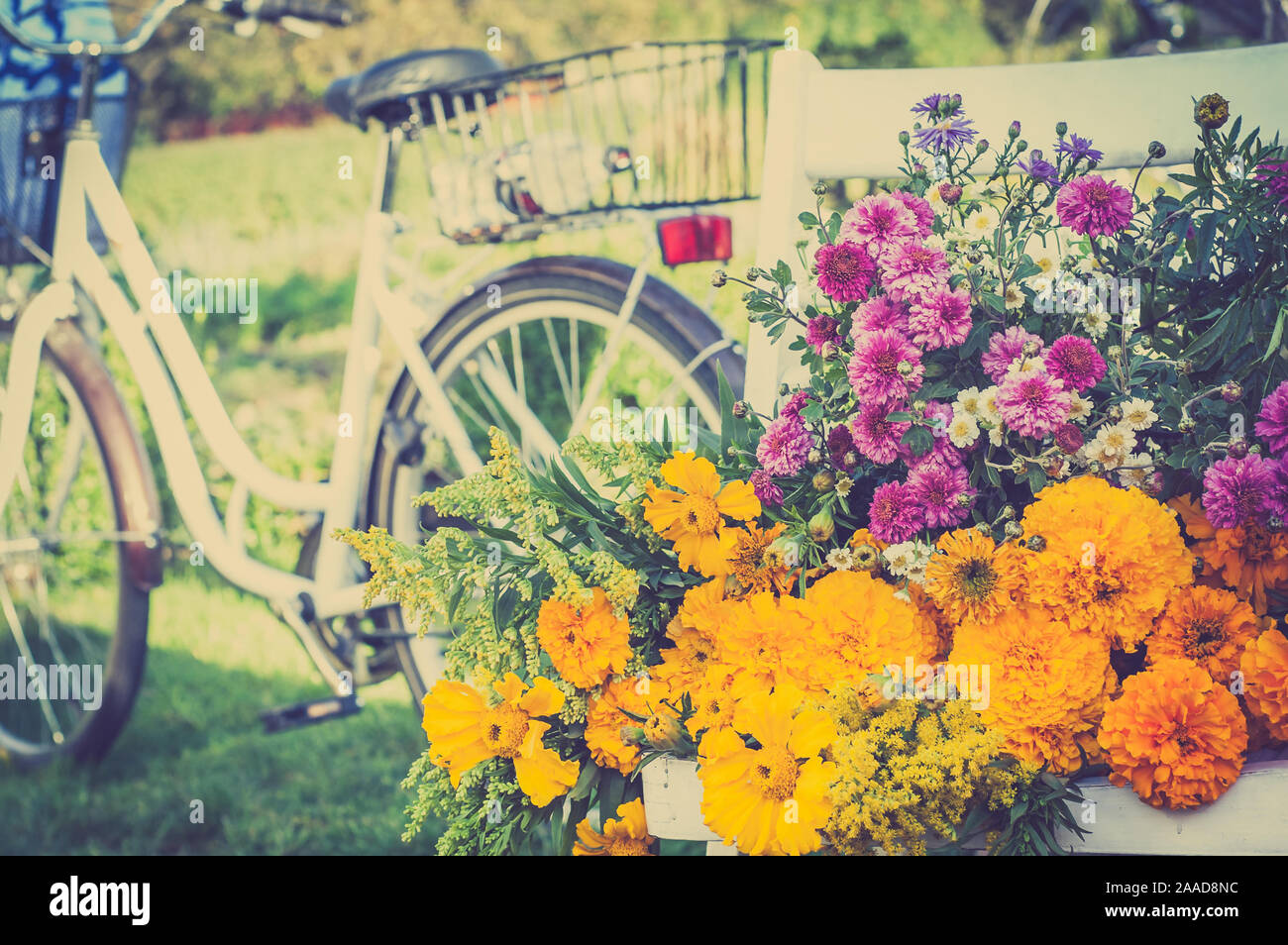 Bunch of autumn flowers on a white chair. Blurred retro bike in the background, vintage photo. Stock Photo