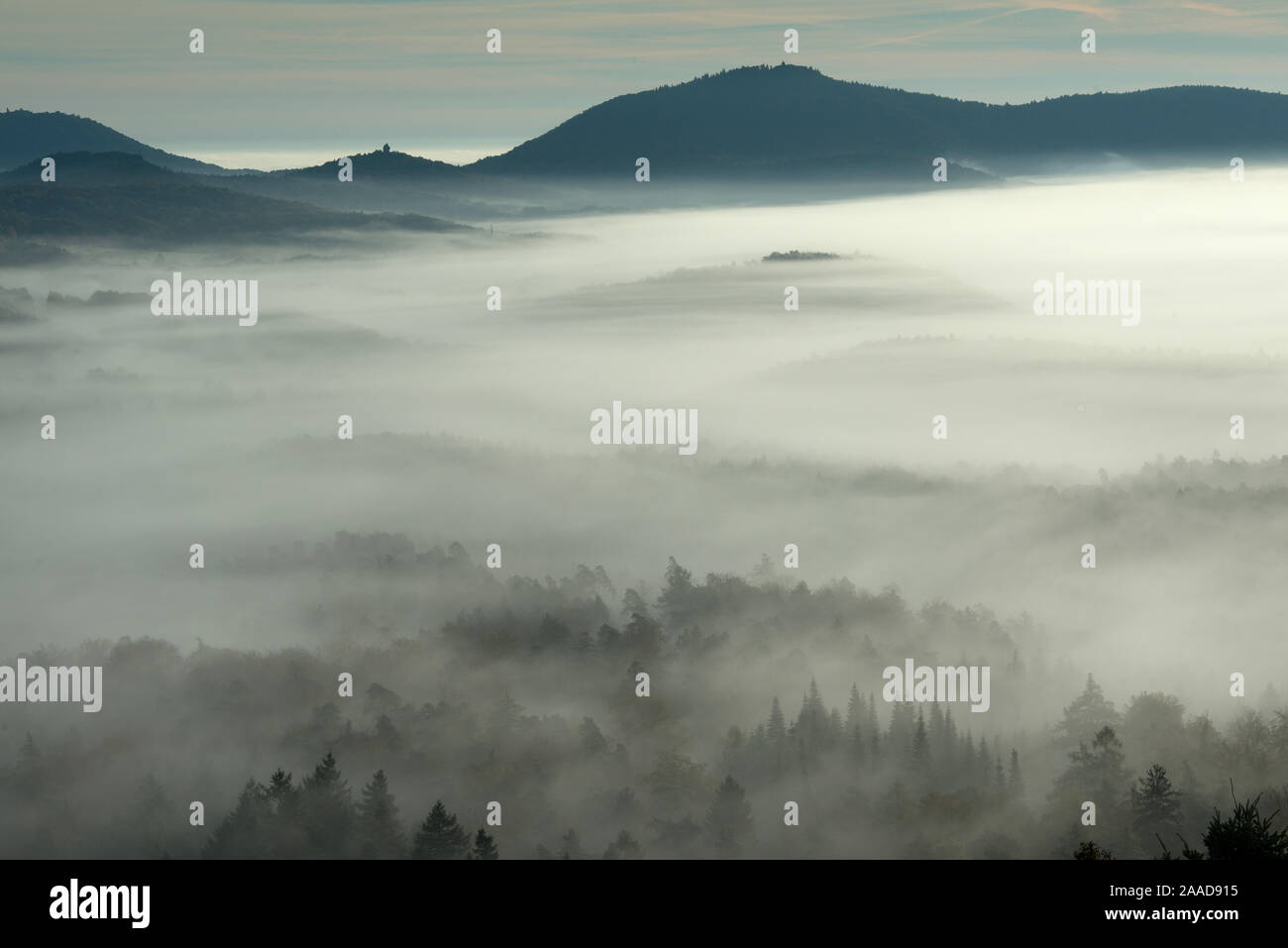 Schwarzwald, Nebelstimmung, Schauinsland, Stock Photo