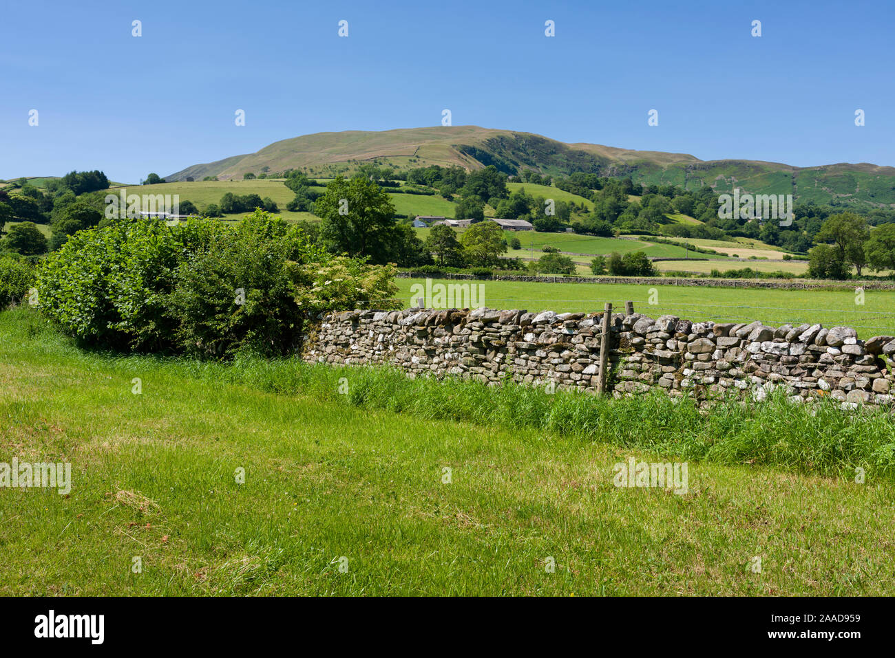 Middleton Fell overlooking Dentdale in the Yorkshire Dales National Park, Cumbria, England. Stock Photo